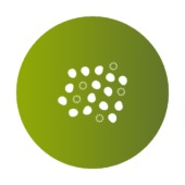 EVA IVF, Fertility Specialists Team