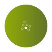 EVA IVF, Fertility Specialists Team