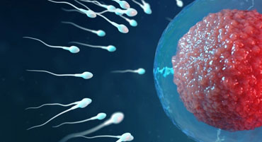 Reproductive Genetics