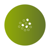 EVA IVF, Fertility Specialists Team