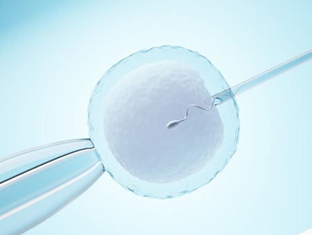 EVA IVF, Fertility Specialists Team