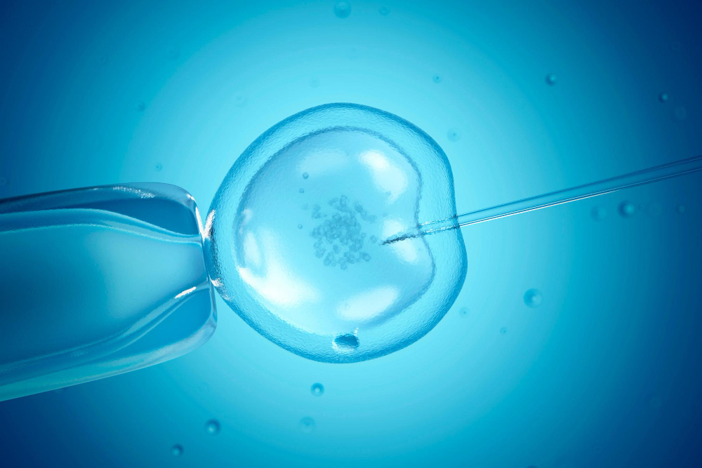EVA IVF, Fertility Specialists Team