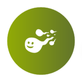 A Healthy Egg